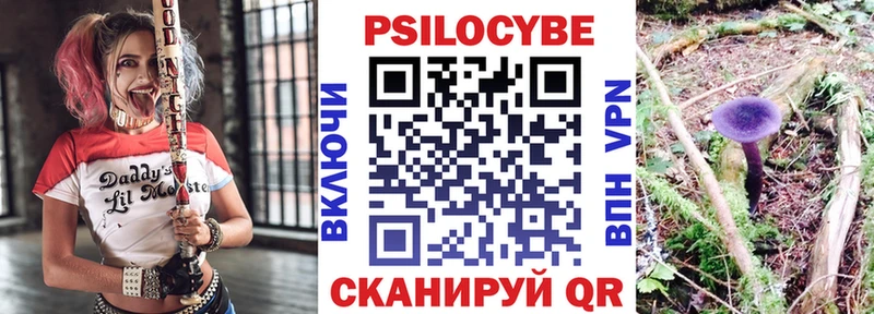 Псилоцибиновые грибы Psilocybine cubensis  хочу наркоту  Снежинск 